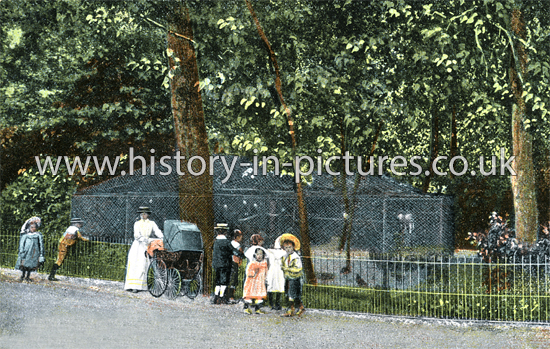 Brockwell Park, Brixton, London. c.1904